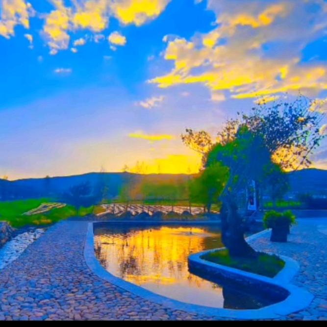 🎋陌路丢了谁🎋