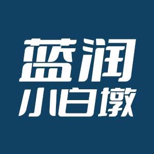 蓝润小白墩居家日用企业店