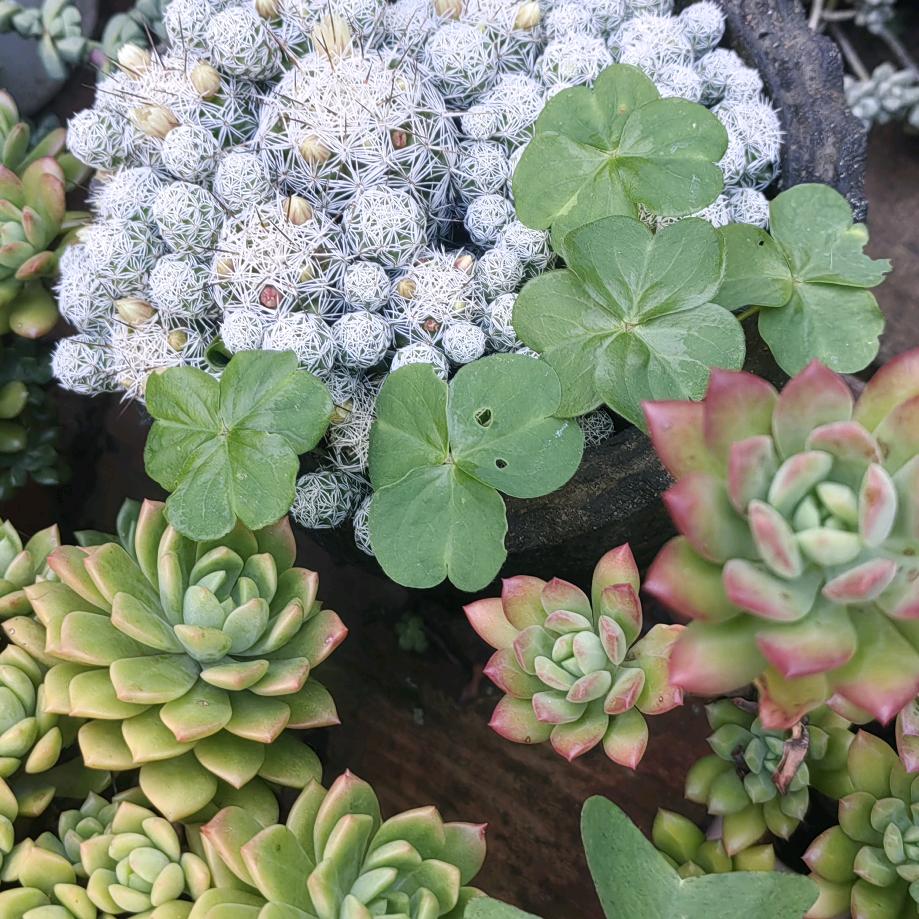 一直都在从未离开