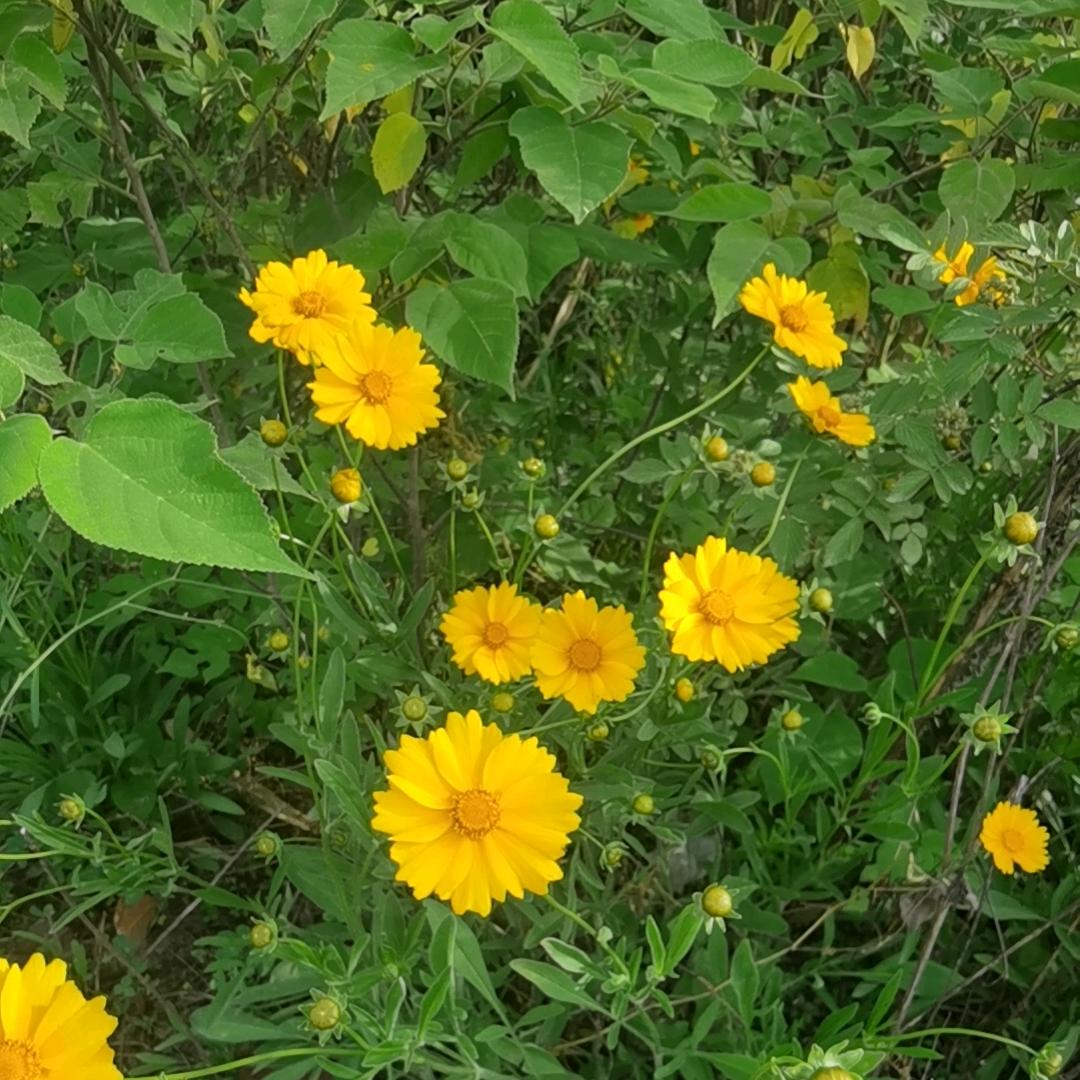 逝水流年轻染尘