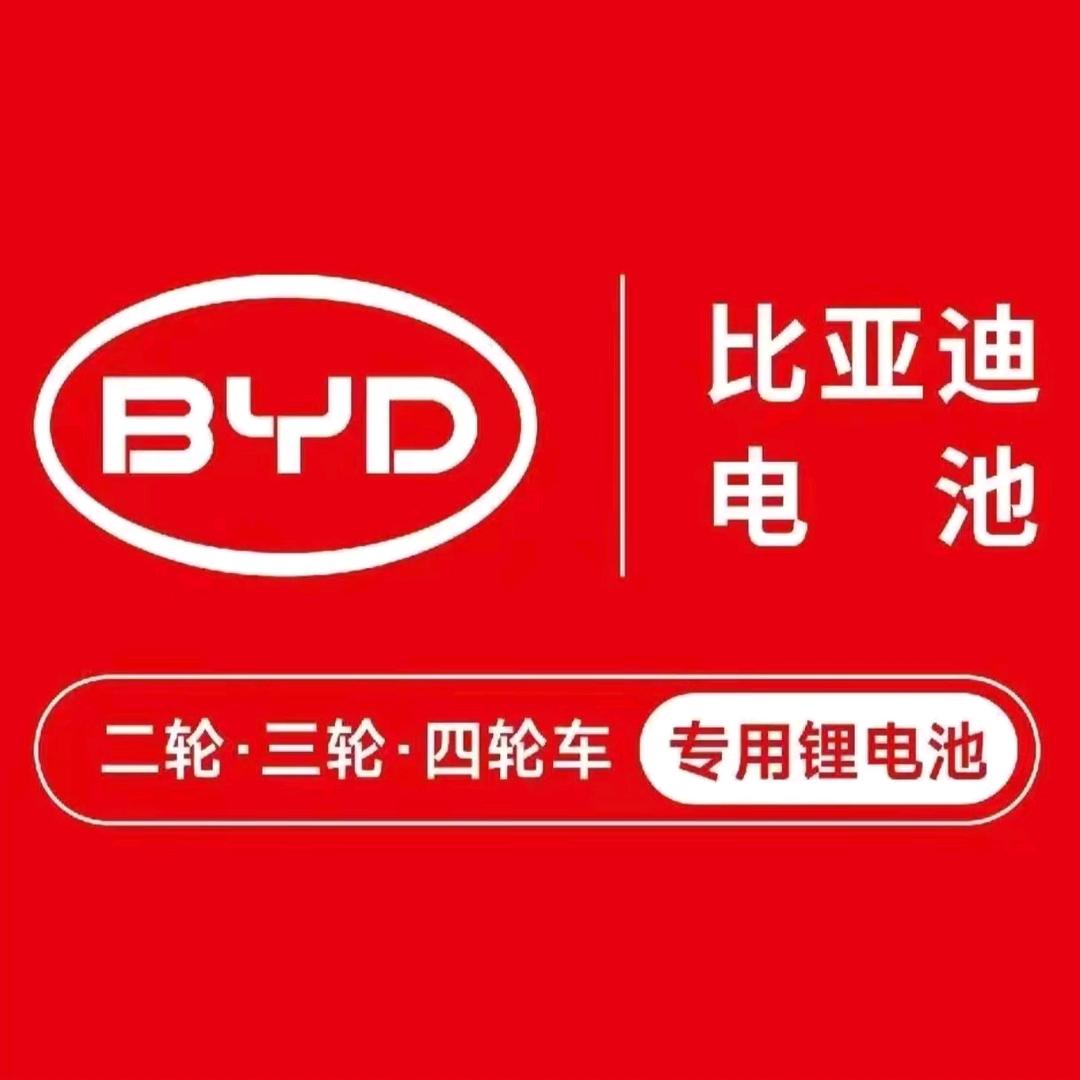 比亚迪电池怀化运营中心(二轮三轮四轮)