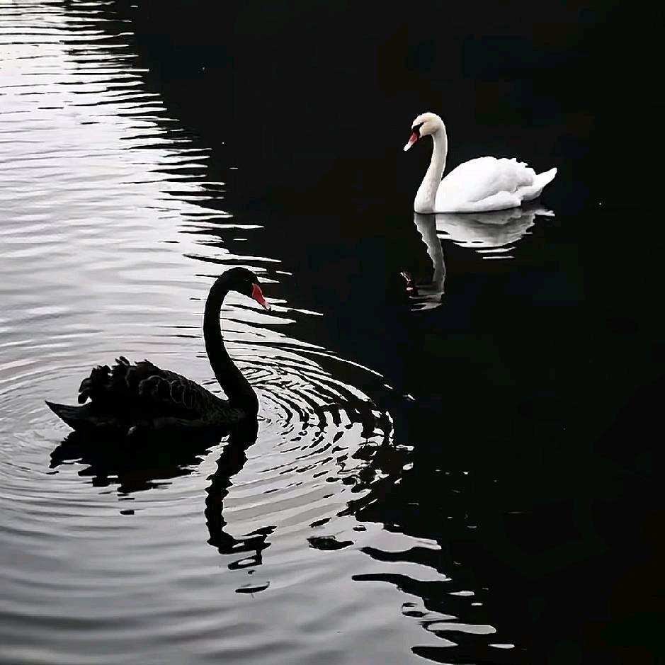 千寻《凌江·遥里》