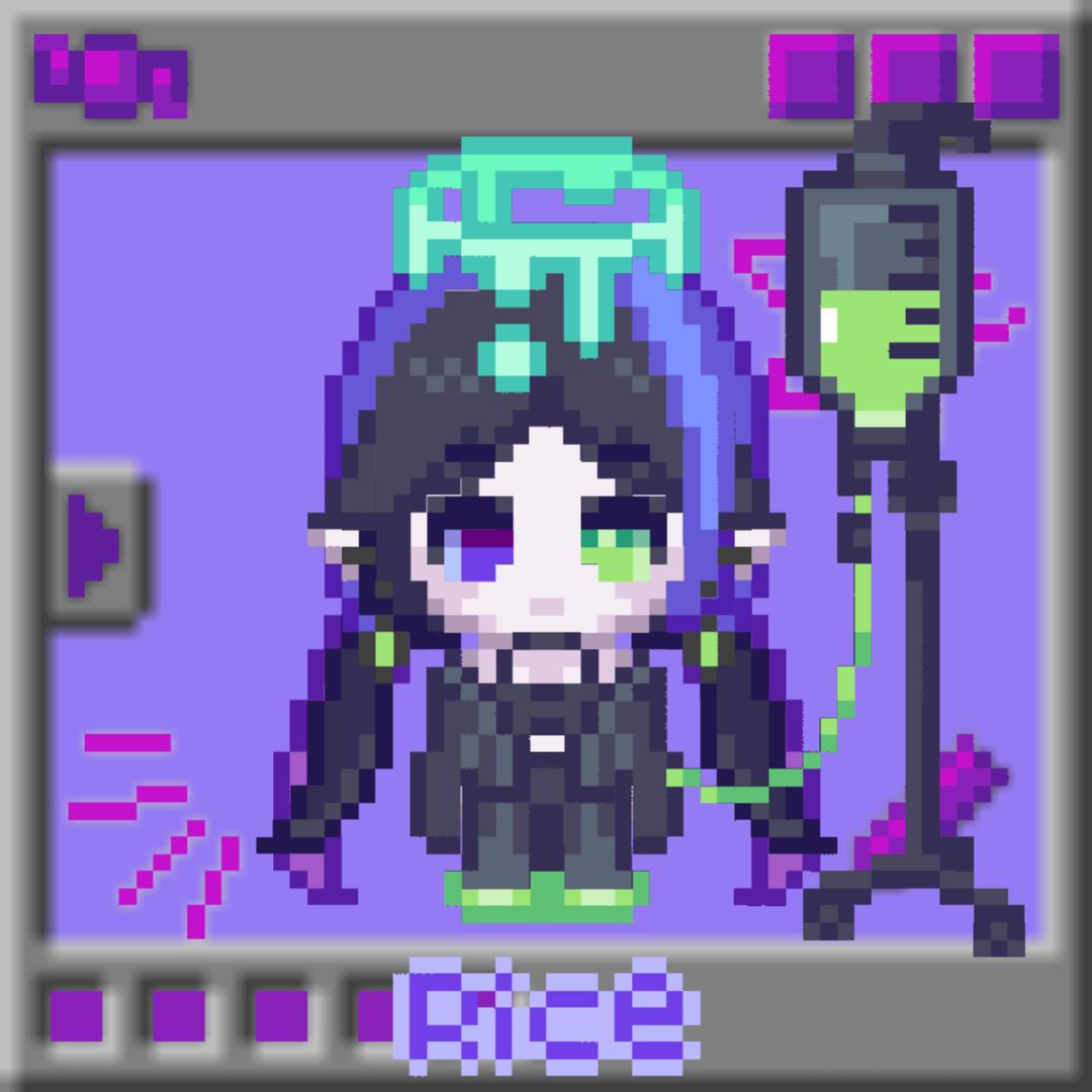 321有五斤火龙果