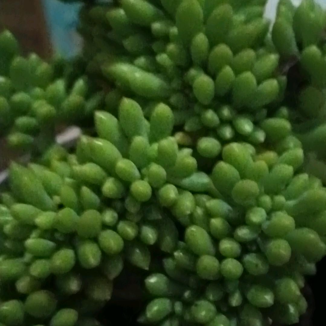 陪伴是最长情的告白