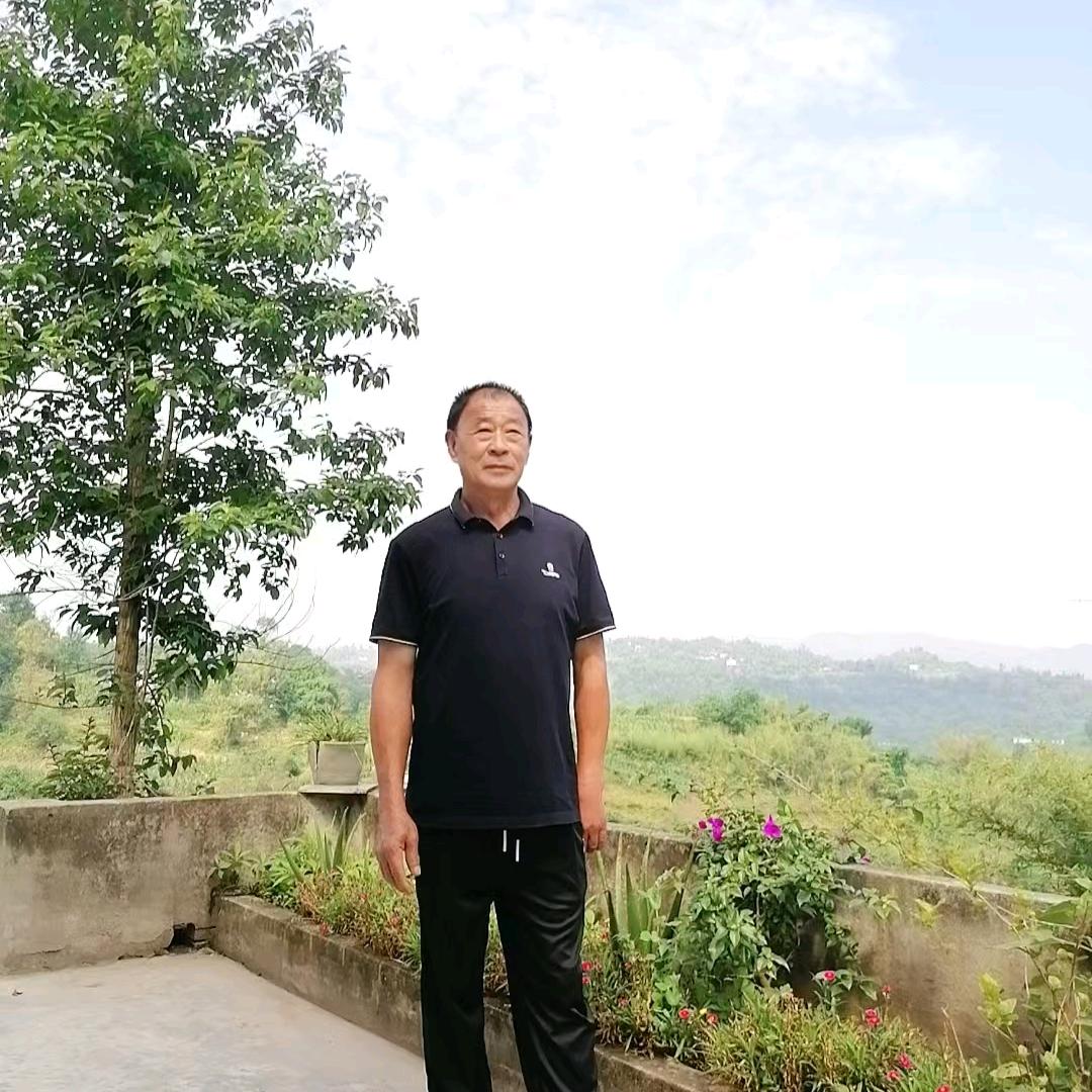 隔壁老樊