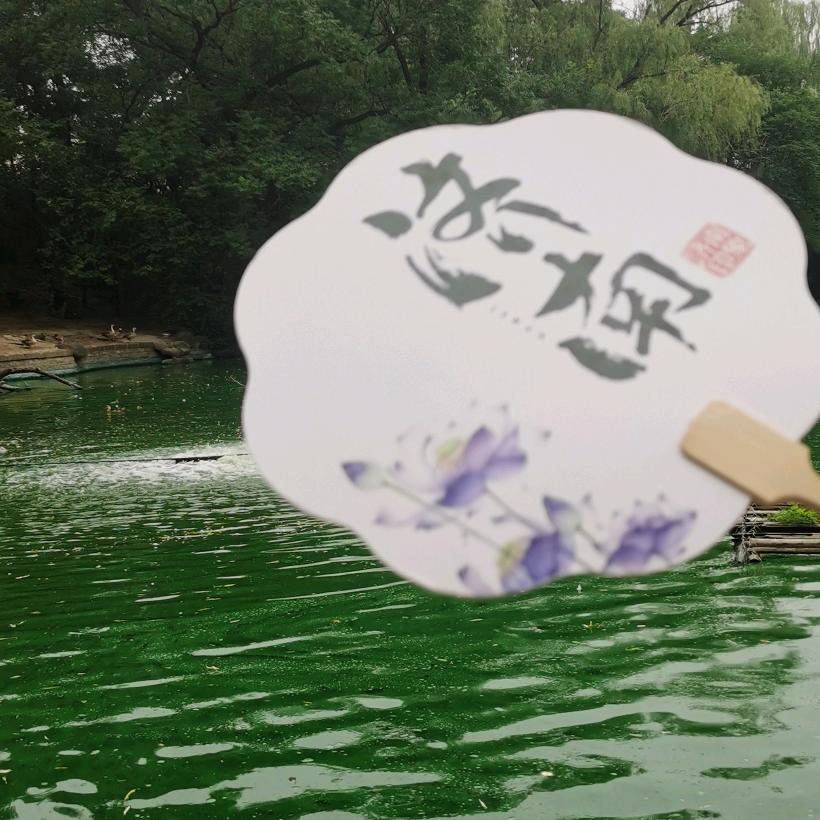 权哥剧场