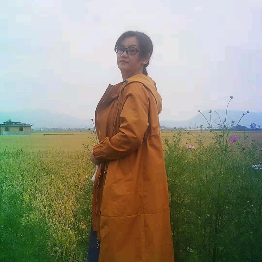 木槿