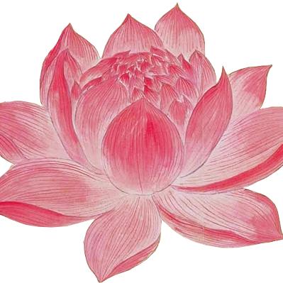 锦鲤附体的妹儿