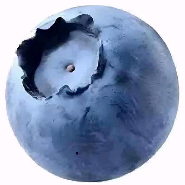蓝莓头像