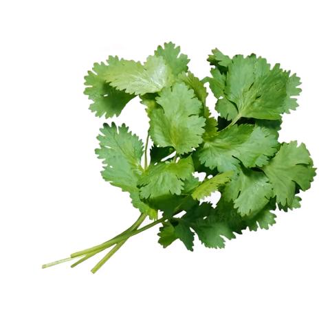 糖豆豆👻