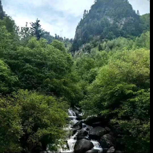 余生❤️❤️随心