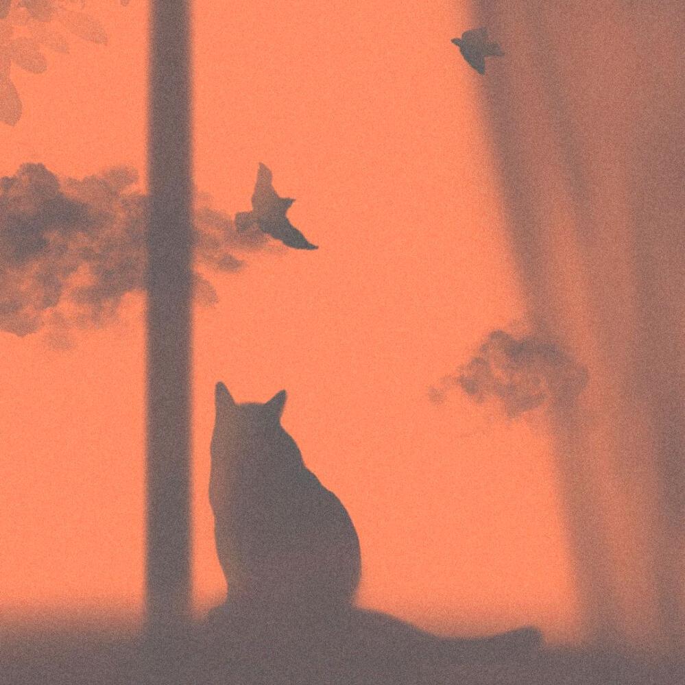 岚