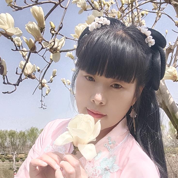 受伤的小燕子