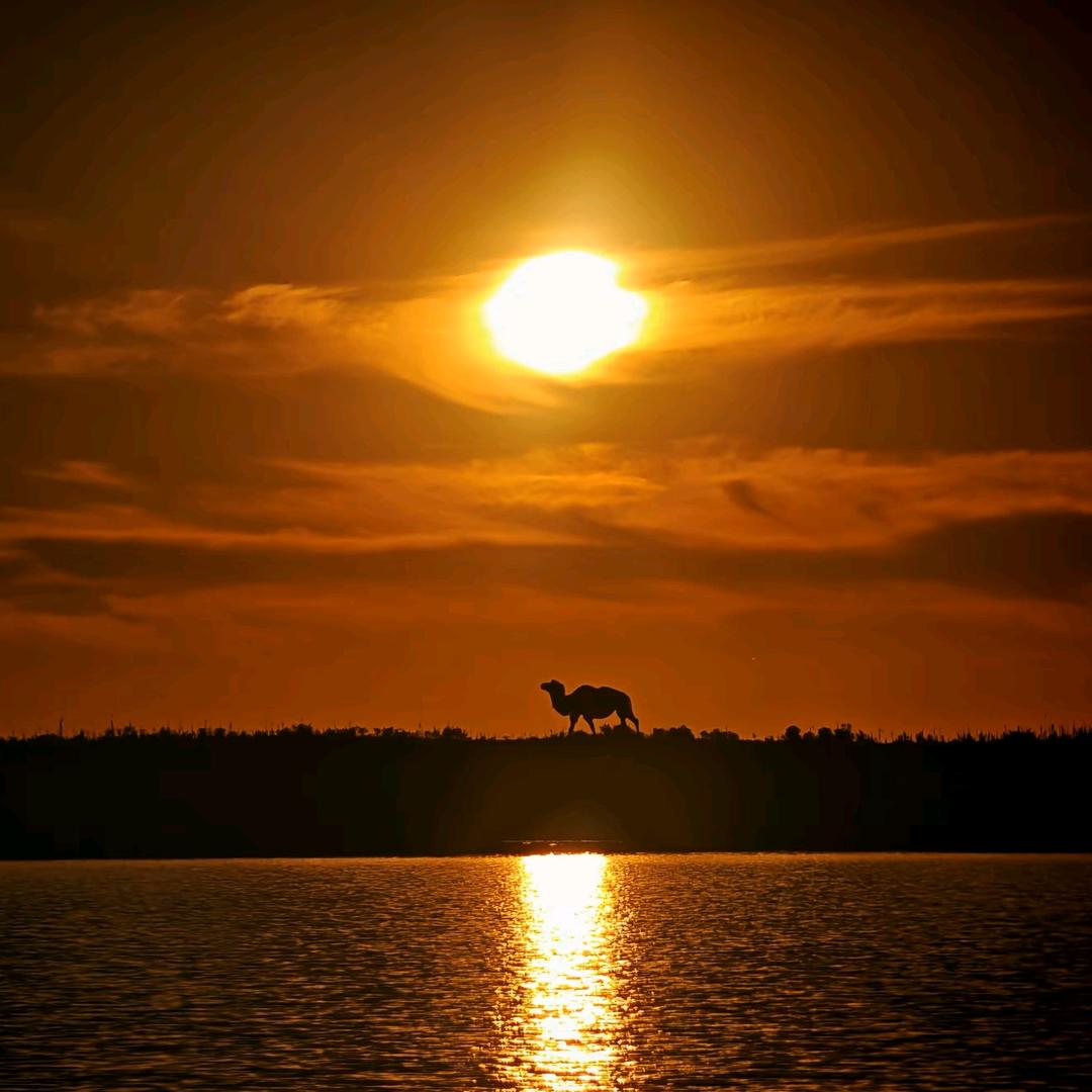 宋晓祥CHINA🇨🇳