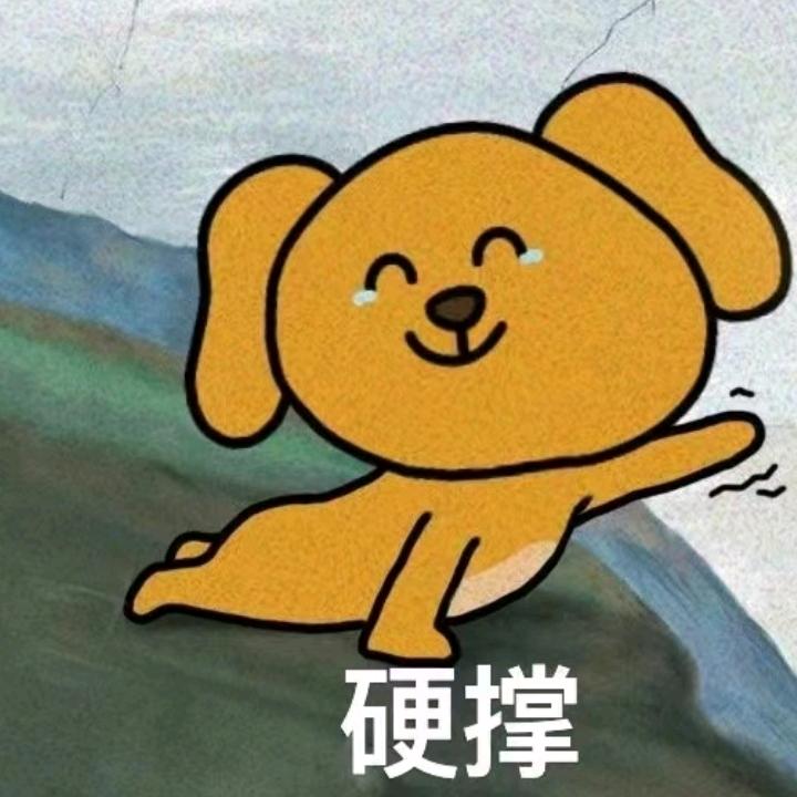 小粉生存日记