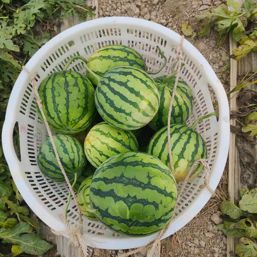 山里小伙