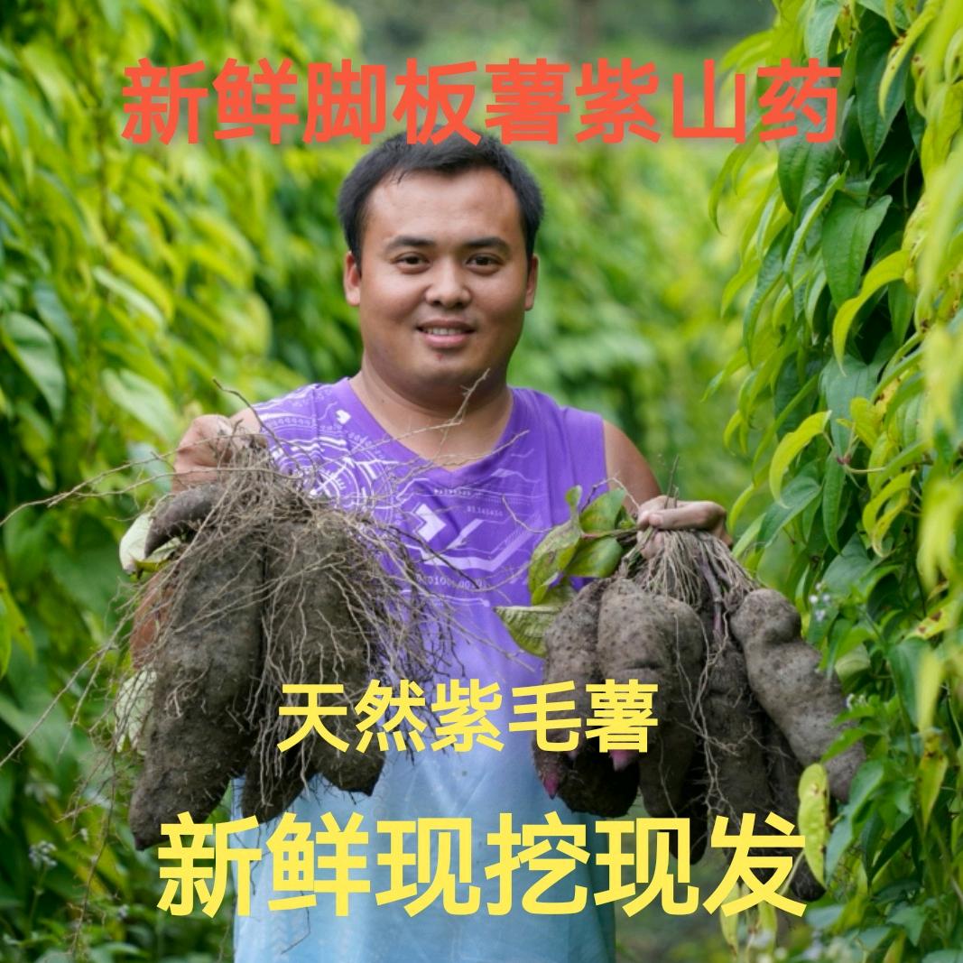 乡愁～劉强