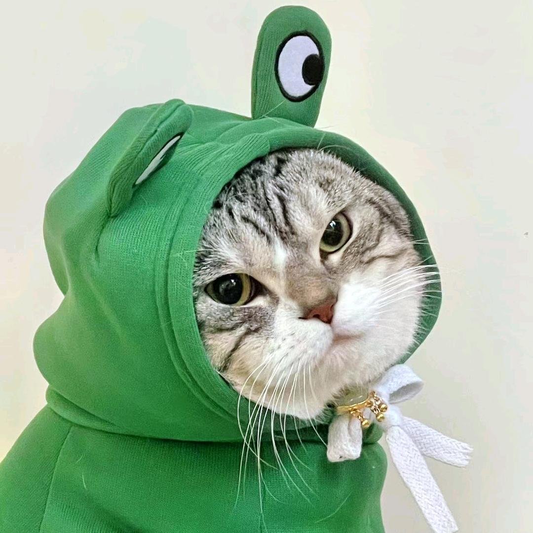 ❤️天降皓凌江（茉莉花版）