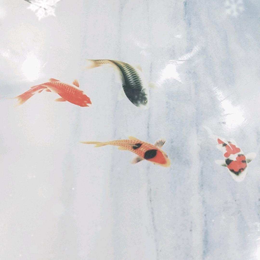 为梦想而努力奋斗