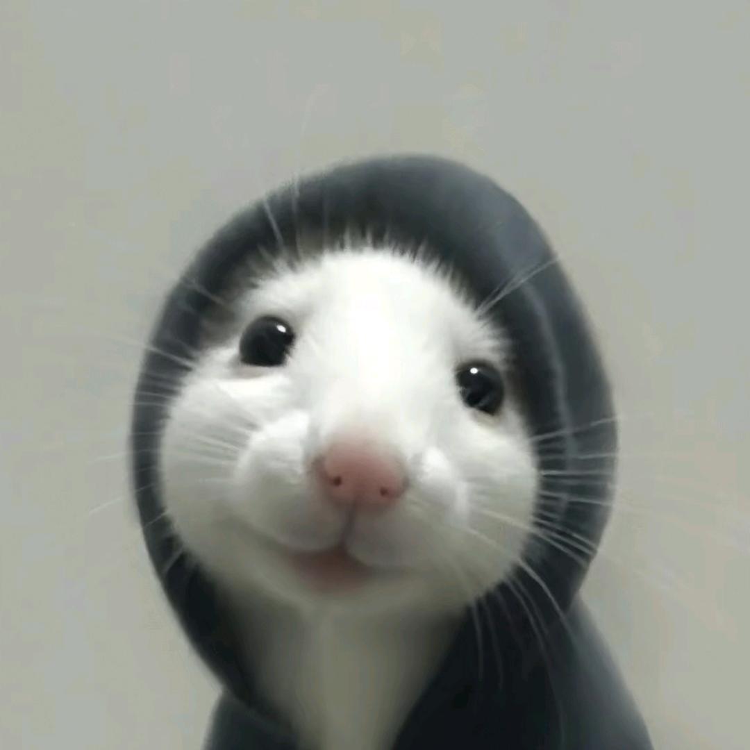🐹