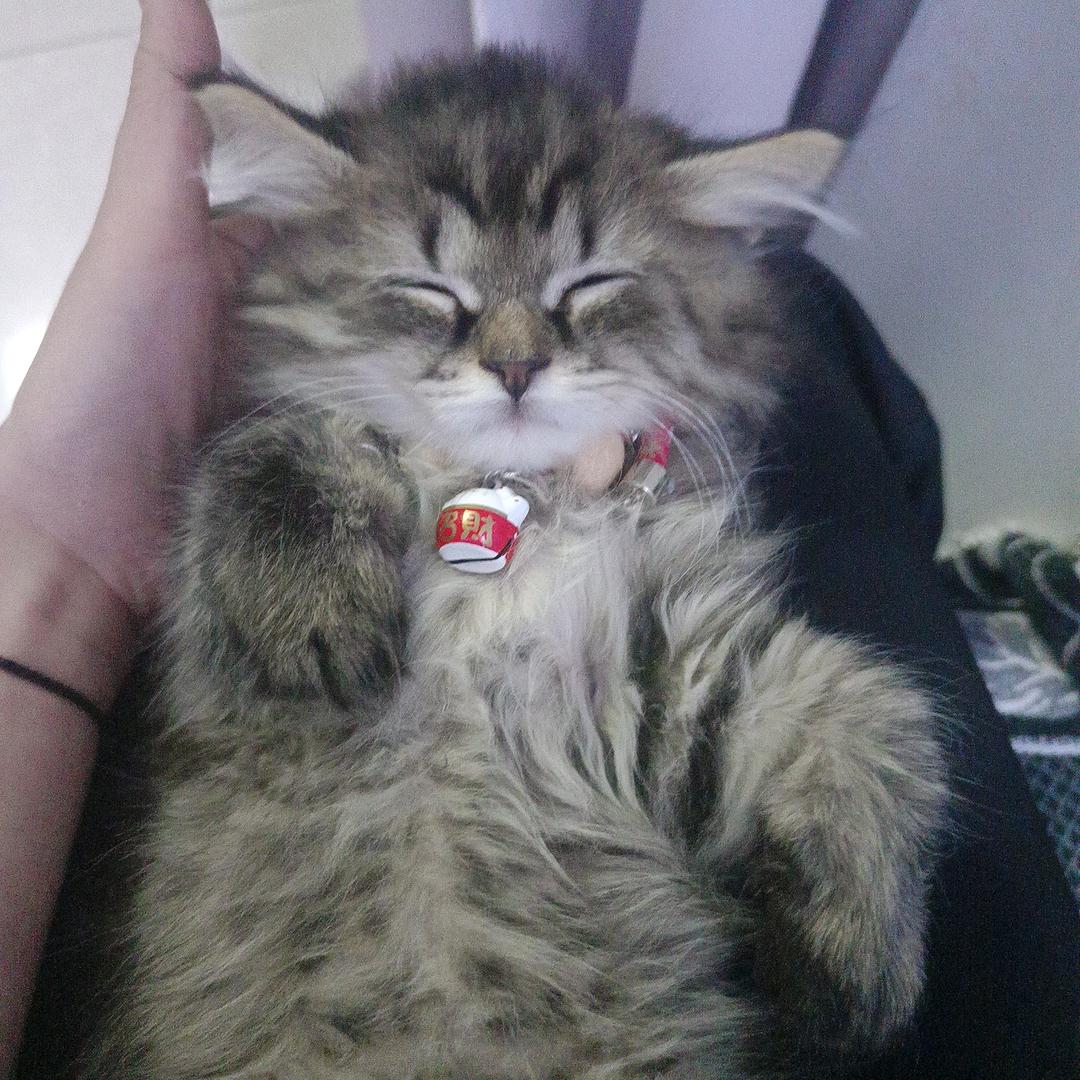 ～