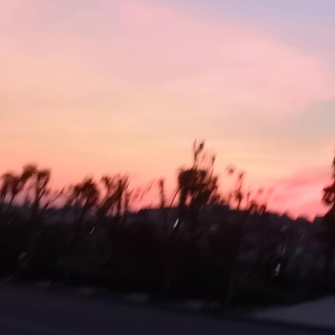 二月英花