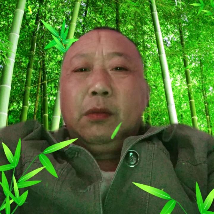 ，张文
