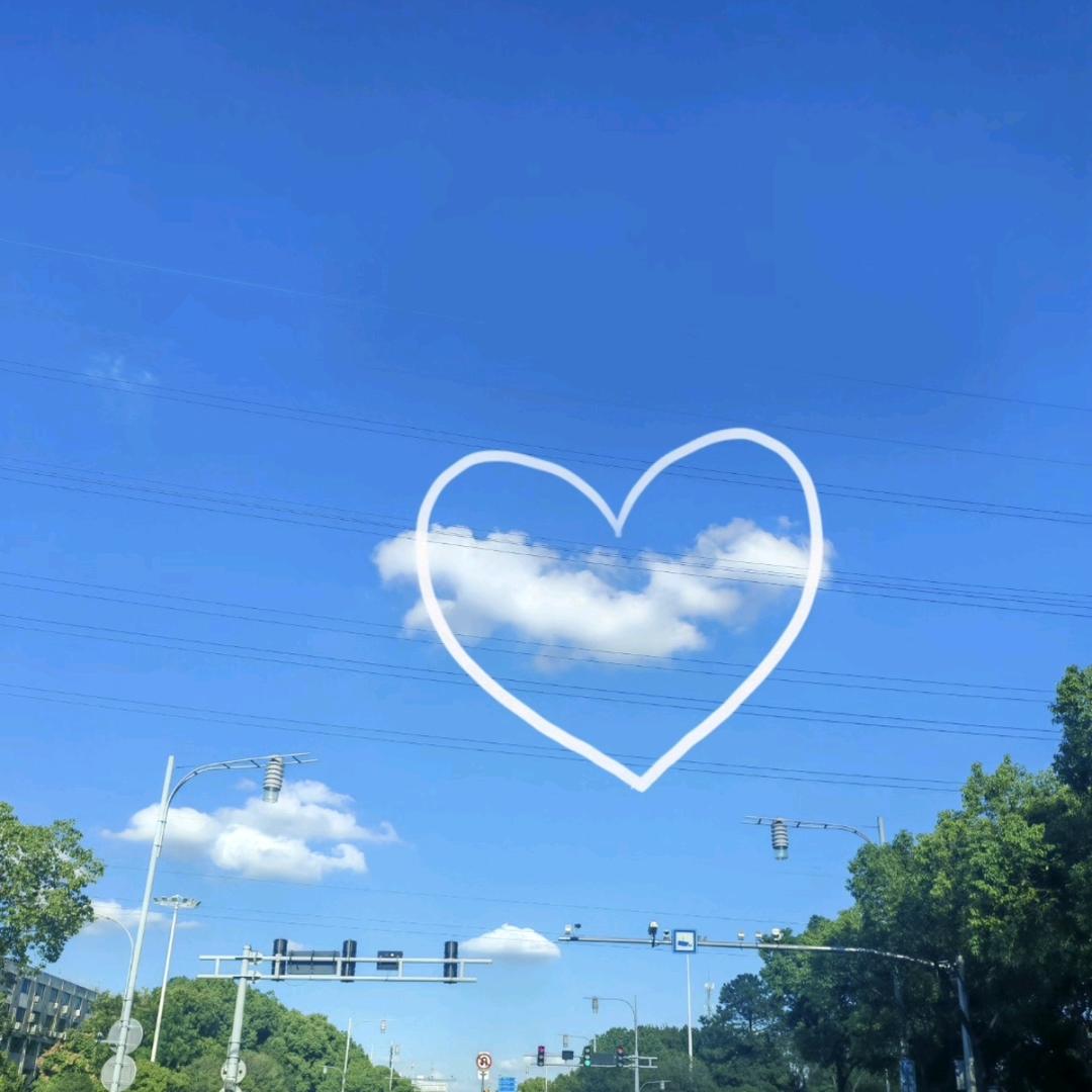 ʕᵔᴥᵔʔ☀️🧸