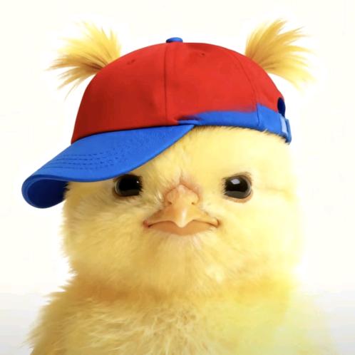 王哈哈哈的抖音