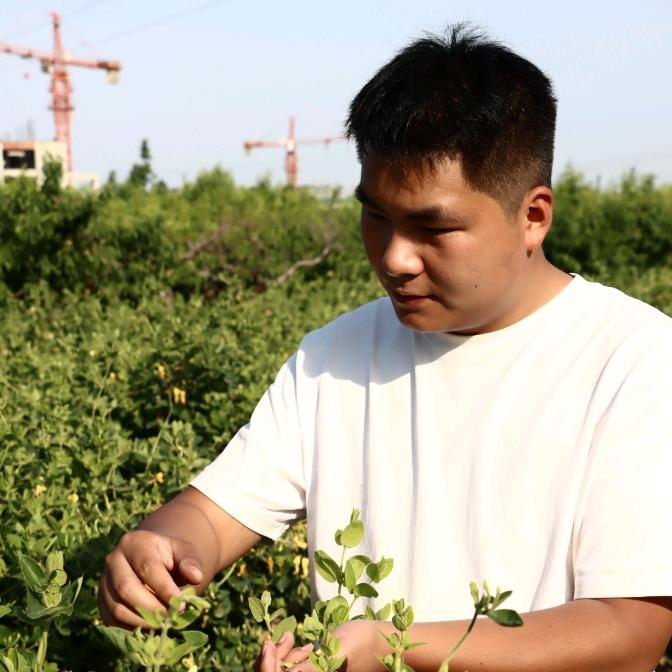 豫农小张农产品