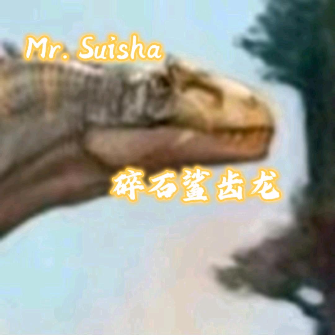碎鲨𝑴𝒓.𝑺𝒖𝒊𝒔𝒉𝒂