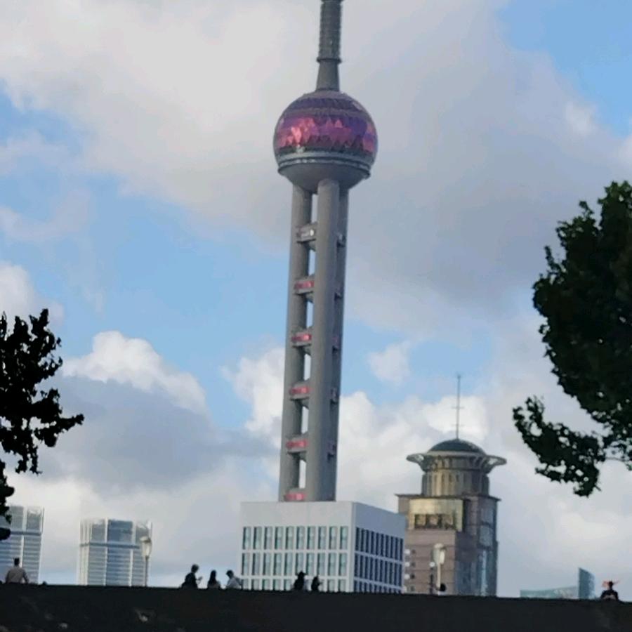 李子真甜