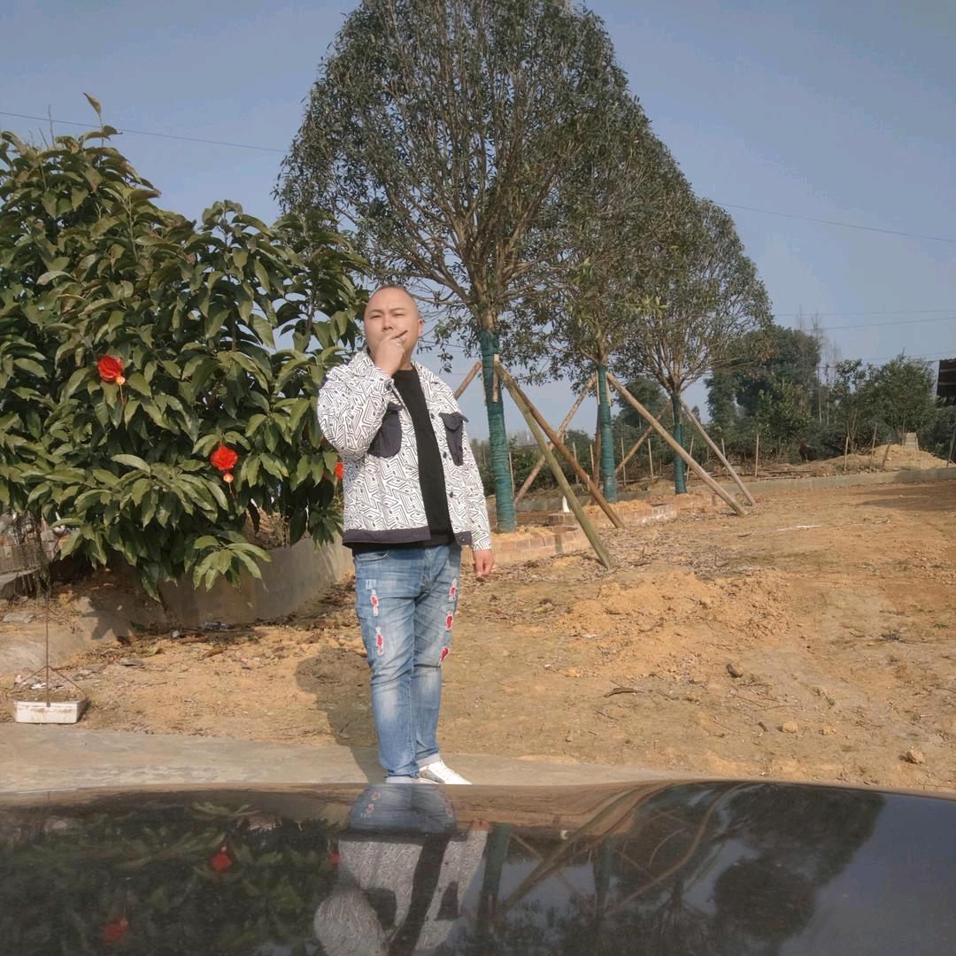 雅安宇涛园林绿化