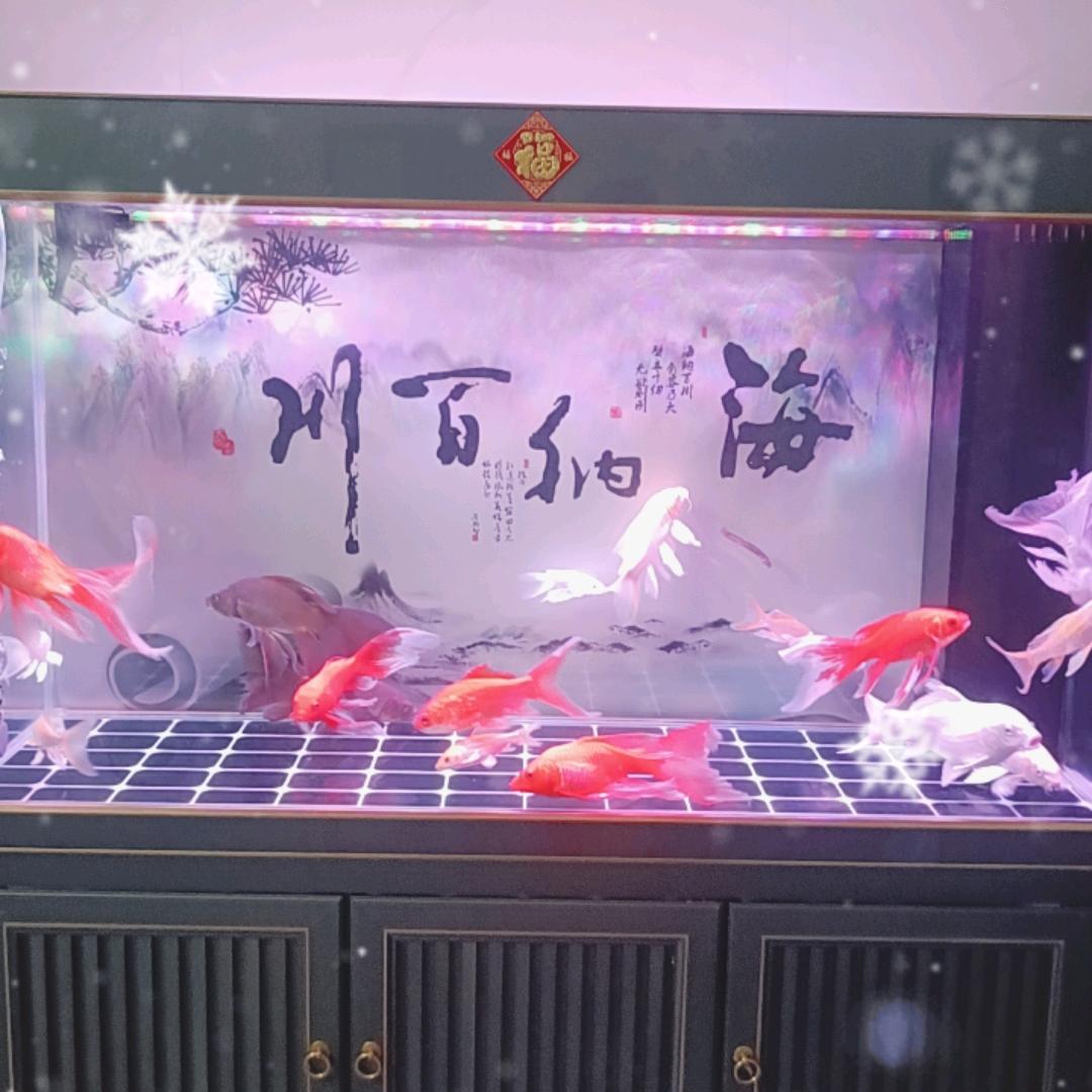 绿色家园