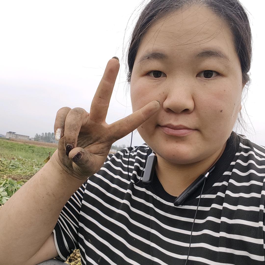 励志小宋
