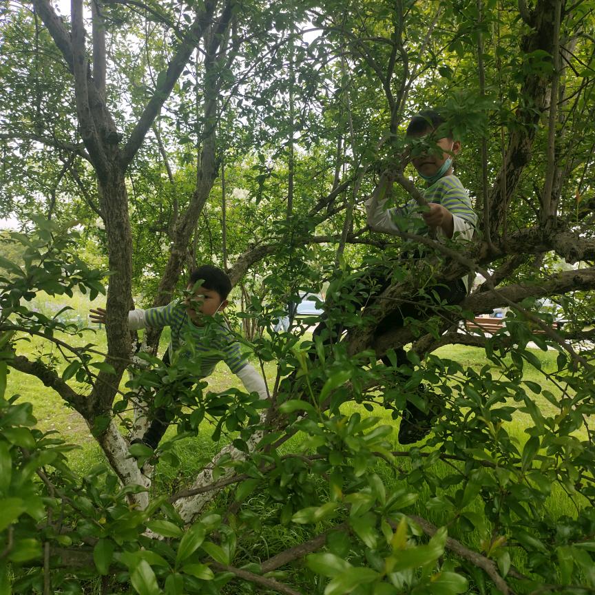 @天空飘过5个字。✔