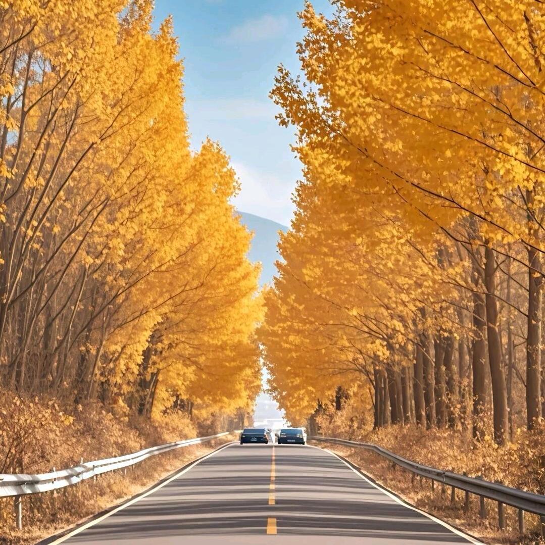 晚秋③