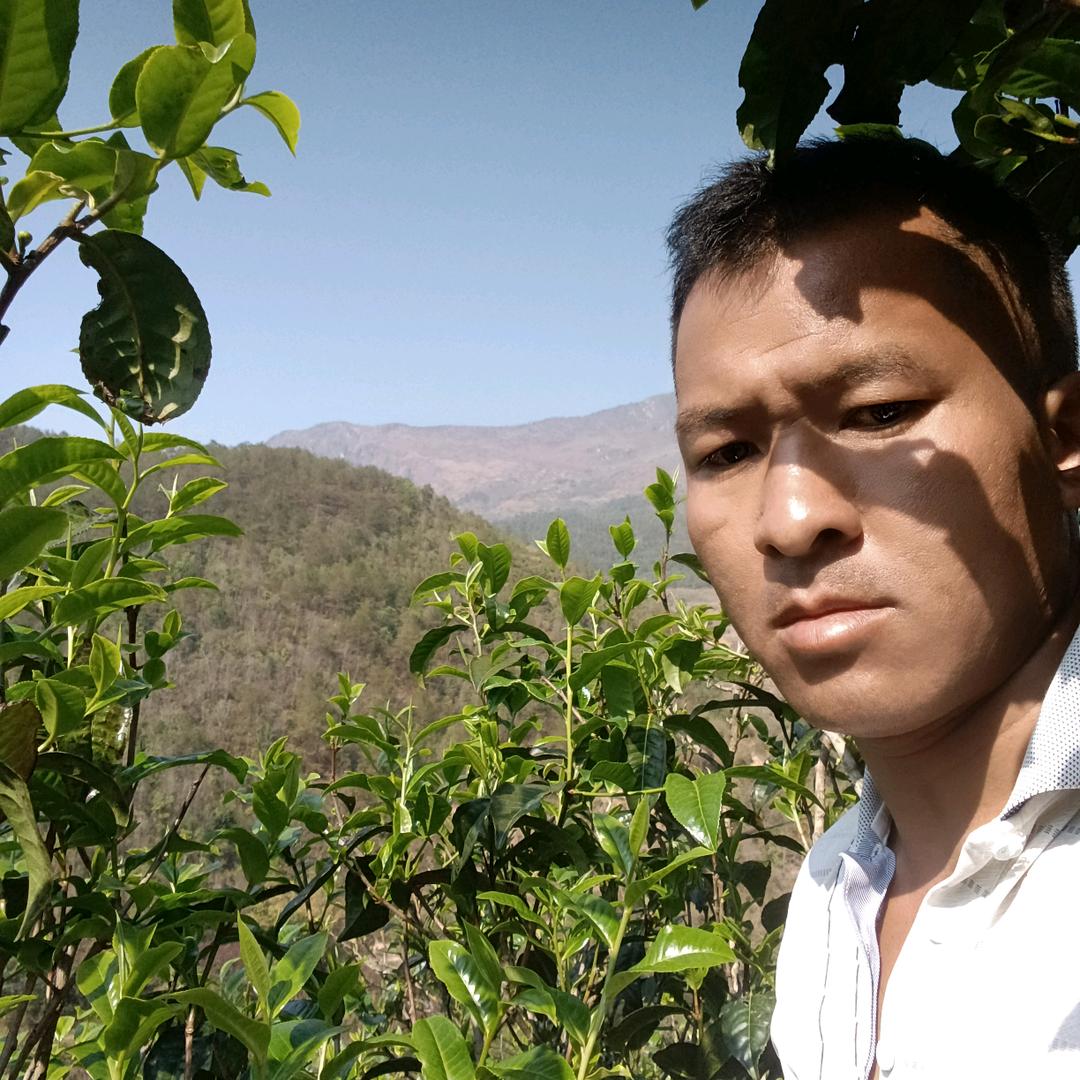 忙肺山茶农阿文哥