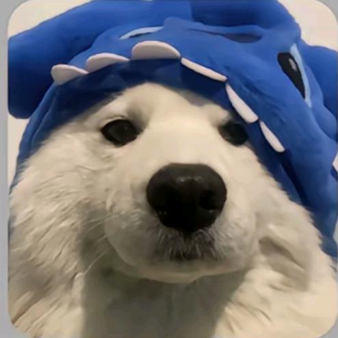 令赏（三角洲行动）