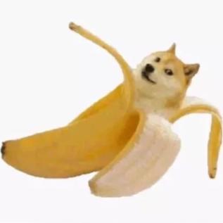 Aanke潇