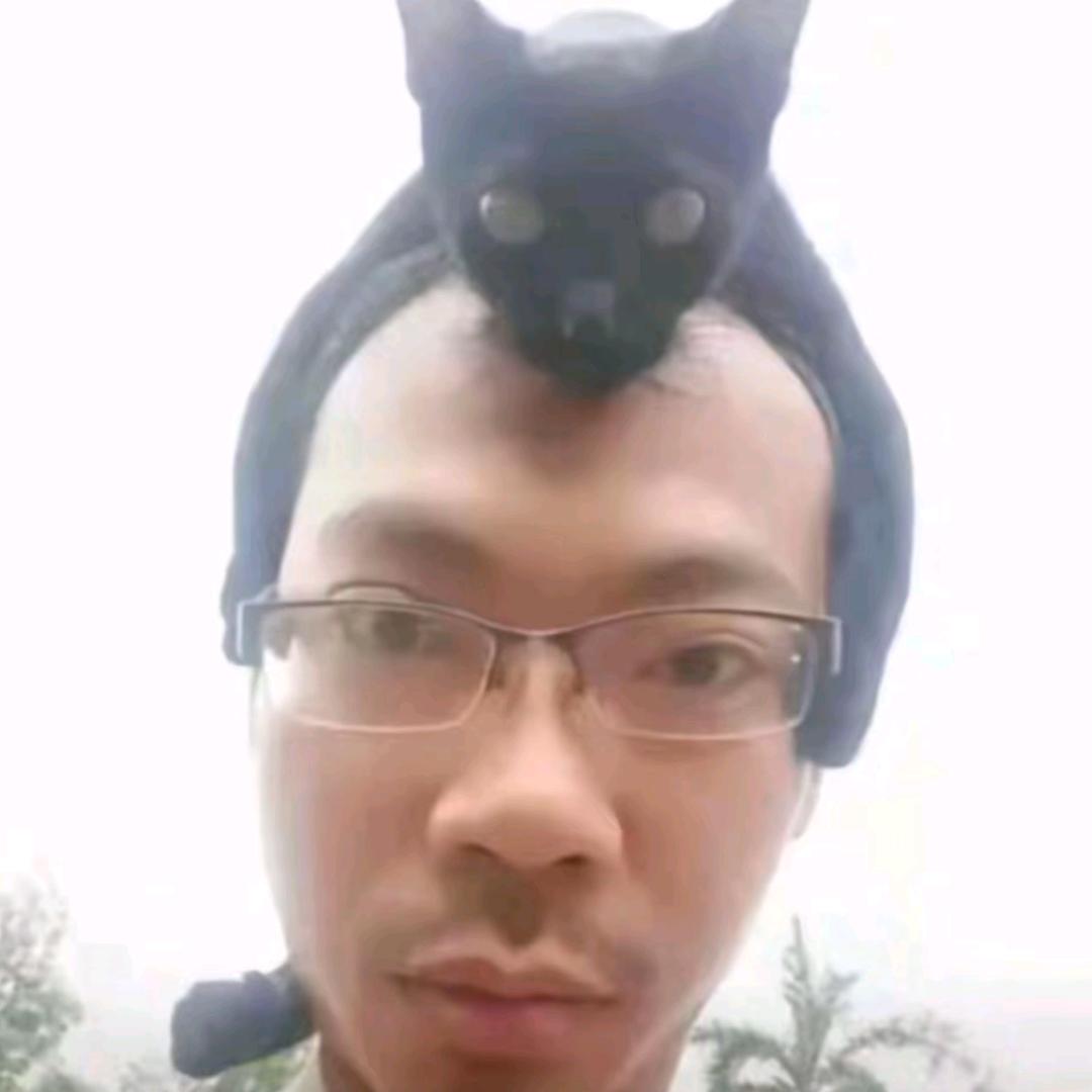 不想上班的大公鸡