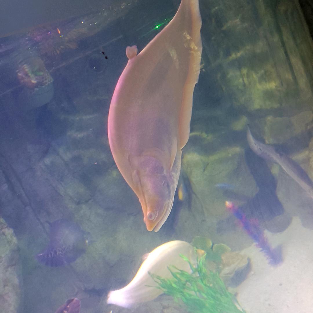 小哥爱财如命😜