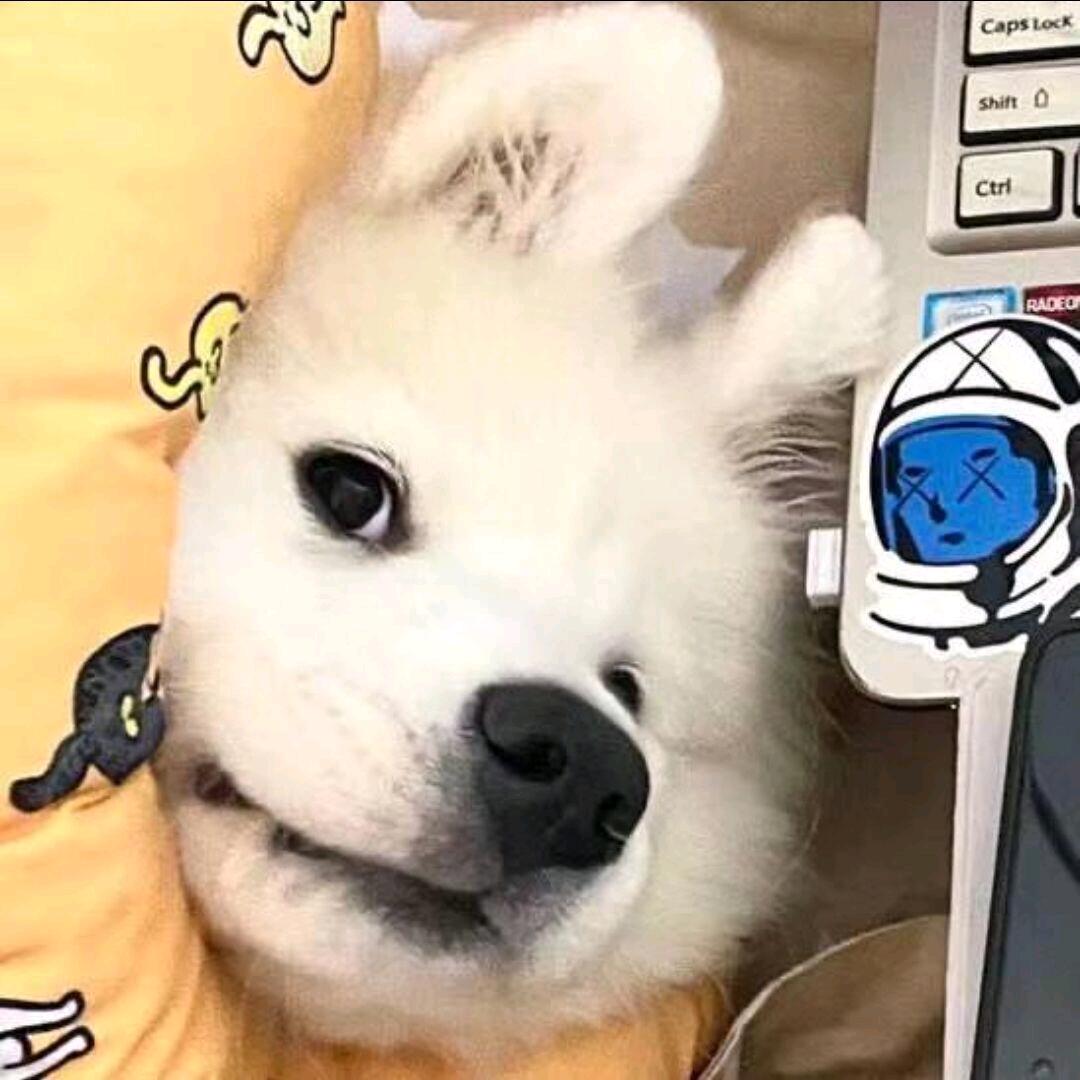 落幕nx