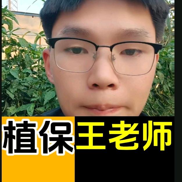 植保王老师