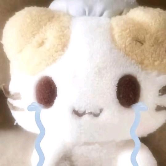 T^T