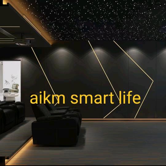 重庆阿库美智能灯光影音运营中心