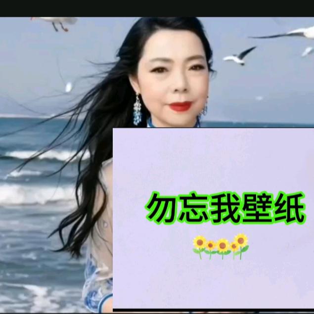 勿忘我52O