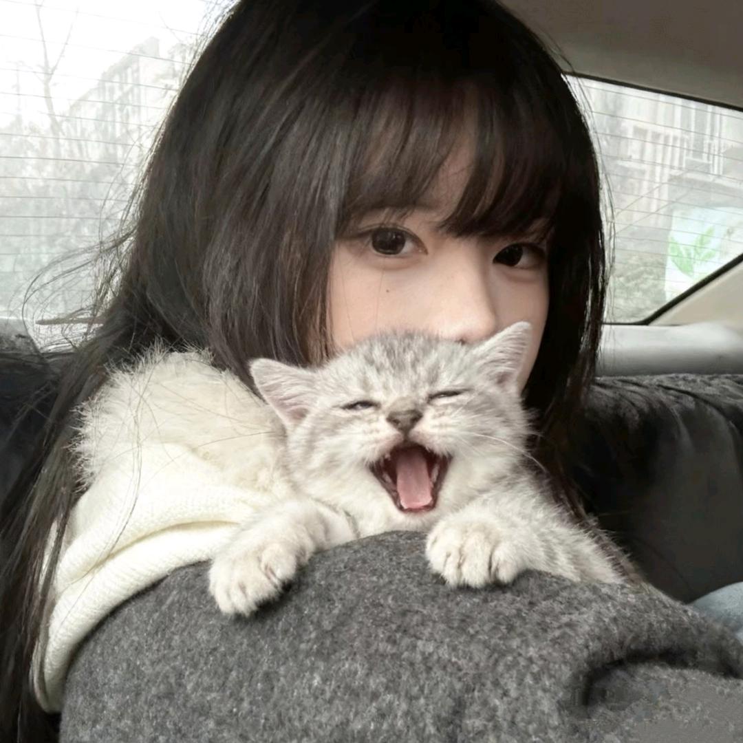 小尾巴猫