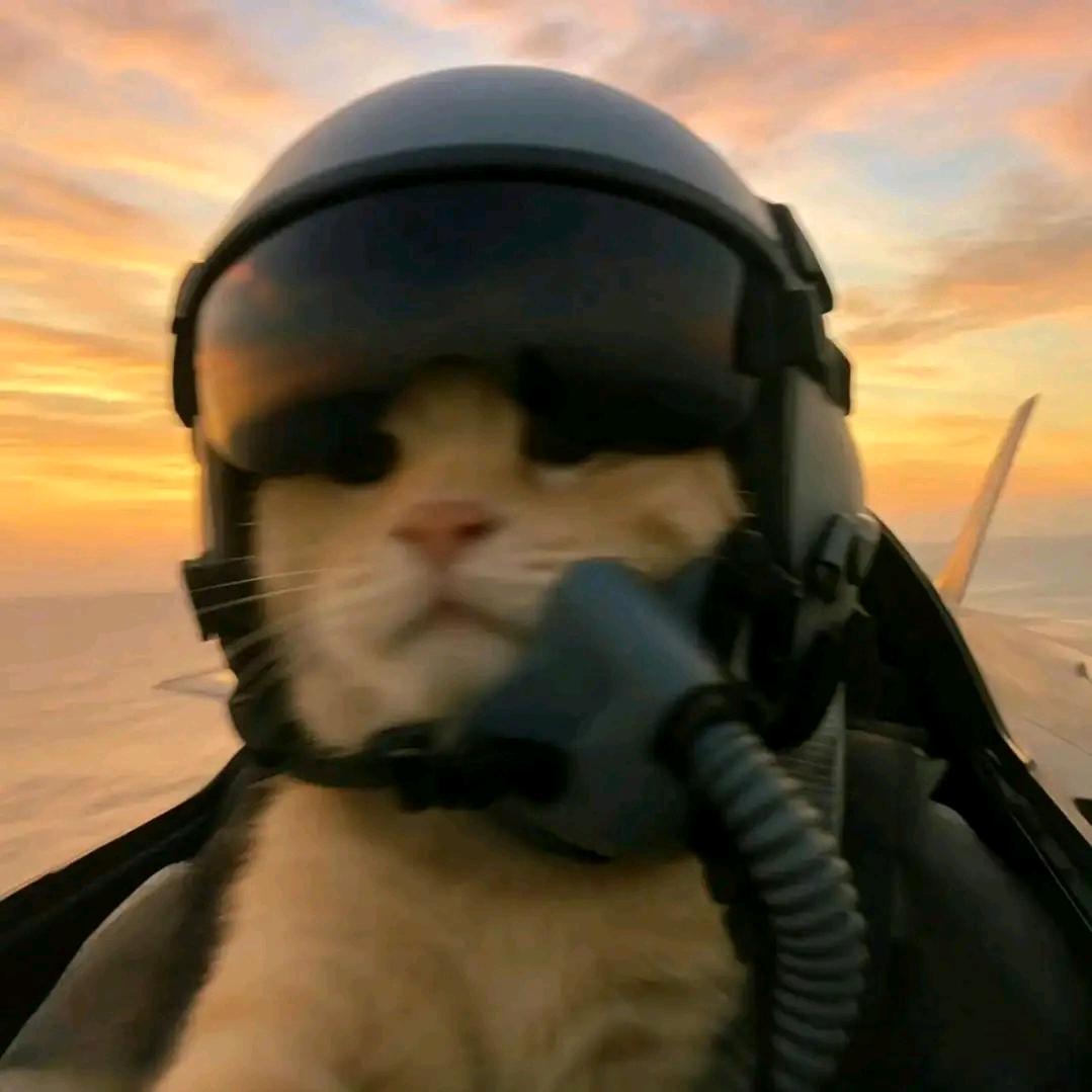 在北为枳南为橘