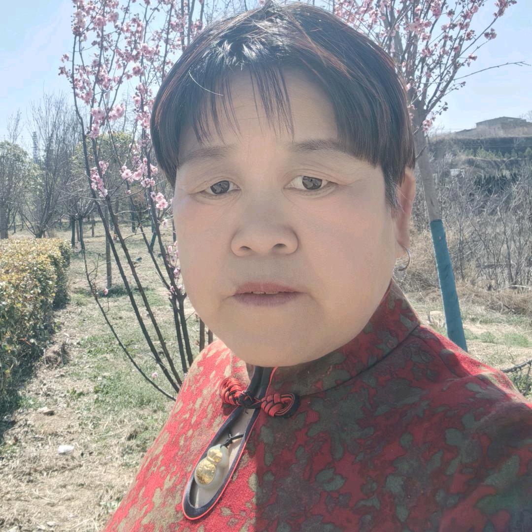 《双胞胎外婆》不定时开播